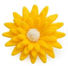 Picture of YELLOW MARGERITA 6CM EDIBLE HAND MADE FLOWER CAKE TOPPER